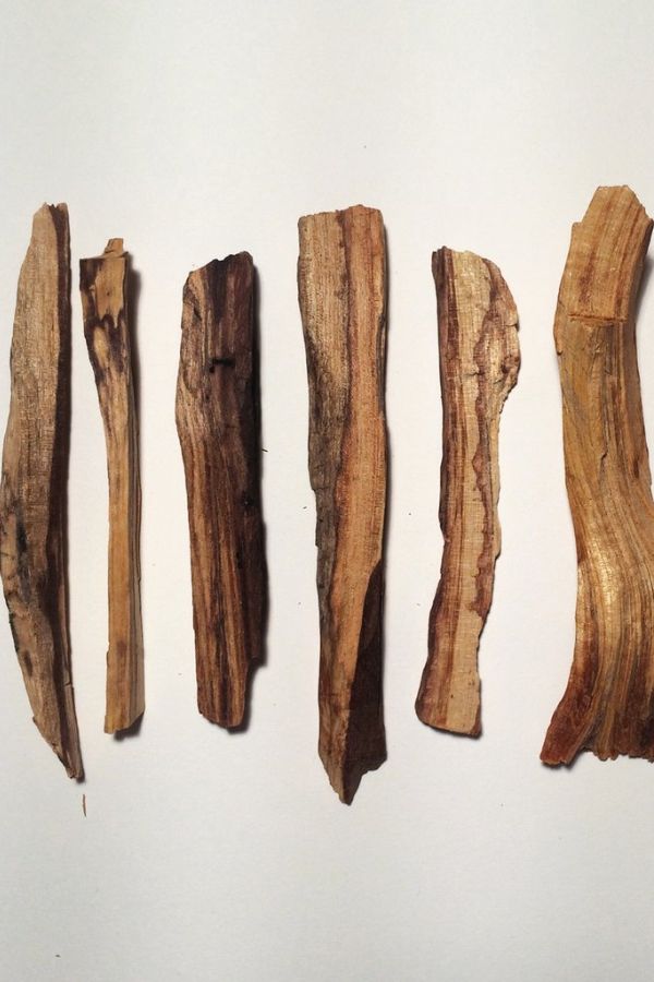 INCAUSA - Palo Santo bundle in Palma de Mallorca, Sea Yogi